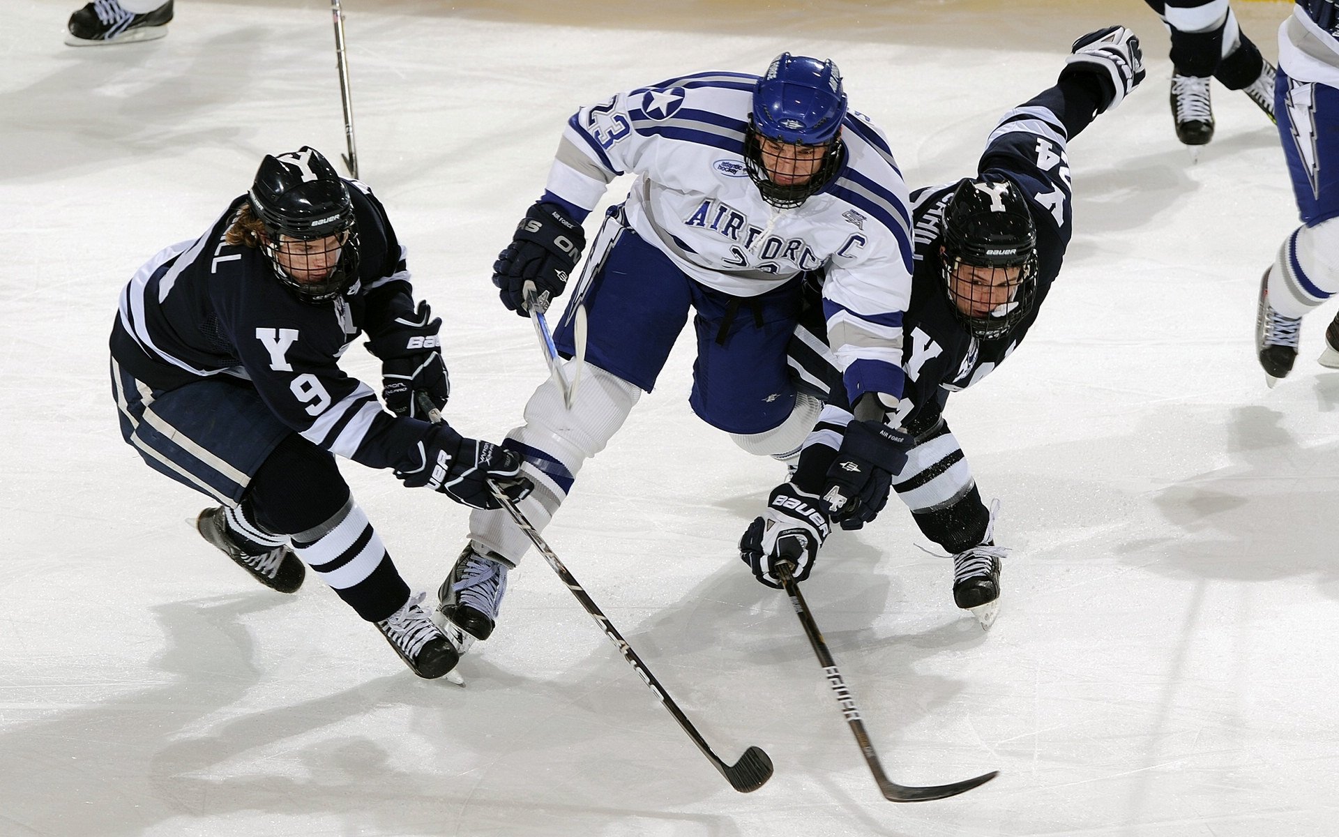 文班亚马刷新纪录之夜，活塞踏平广东队背后的篮球全球化真相